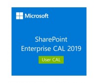 Лицензия Microsoft SharePoint Enterprise 2019 User CAL (DG7GMGF0F4LV0002)